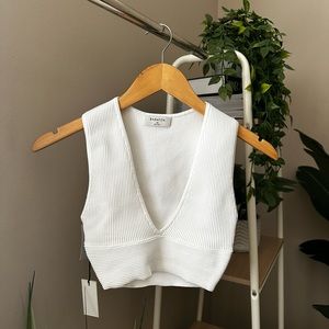 Aritzia Babaton Deep V Tank